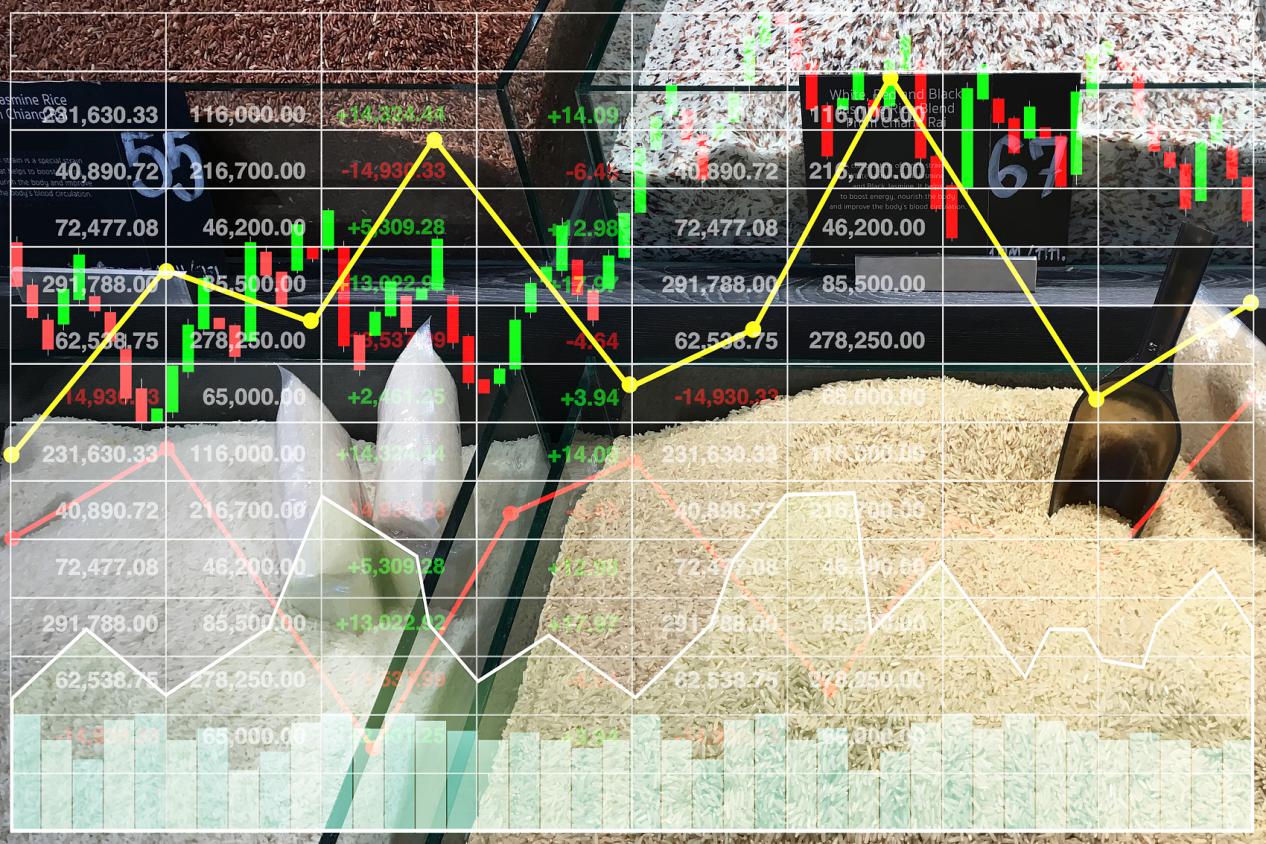 Empowering trading with professional thinking and tools